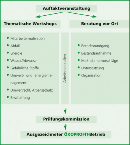 Ablauf des Projektes mit thematischen Workshops und Beratung vor Ort